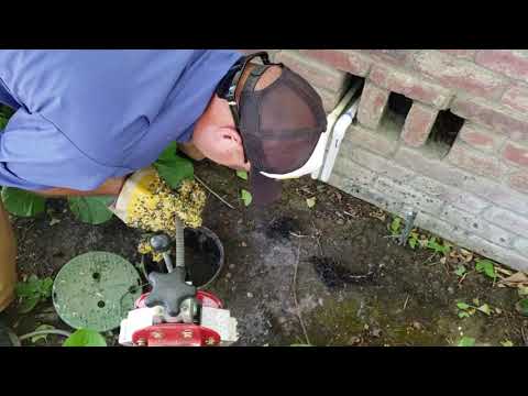 Mainline Drain Cleaning Through the Clean Out