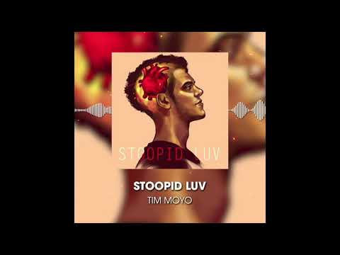 Tim Moyo - Stoopid Luv (ft. Ally Adams)