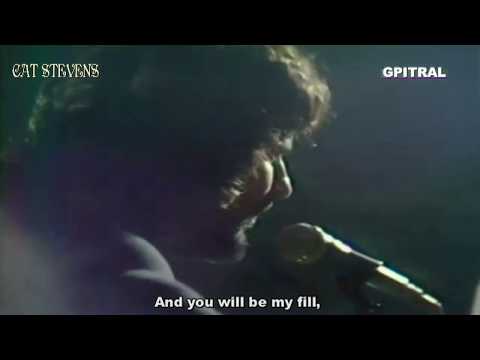 Cat Stevens Lady D'Arbanville lyrics