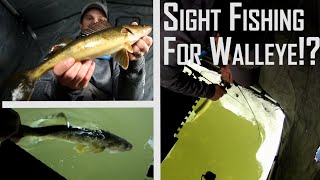 Sight Fishing for...  WALLEYE!?