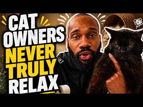 Only cat owners understand this stress&hellip;.