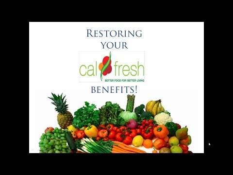 Calfresh Replacement Benefits