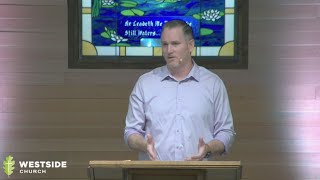 He Took Our Illnesses And Bore Our Diseases - Matthew 8:14-17