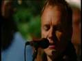Sting - The Hounds Of Winter