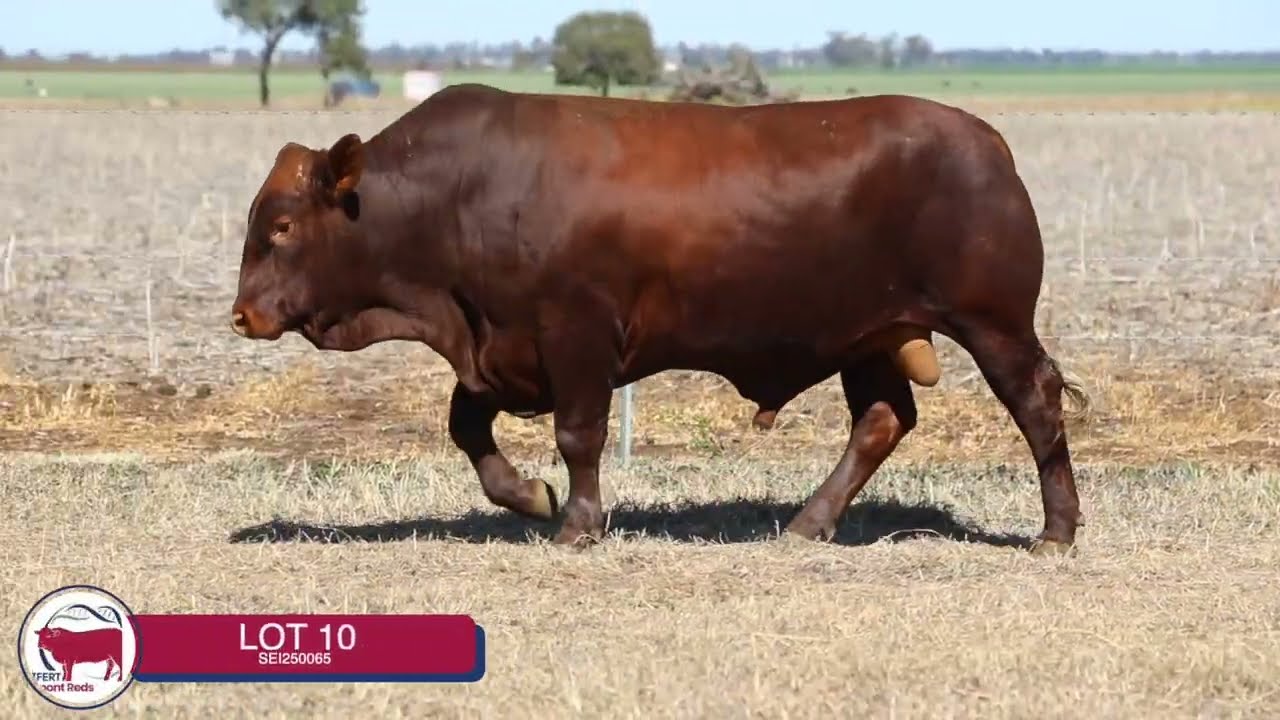 Lot 10