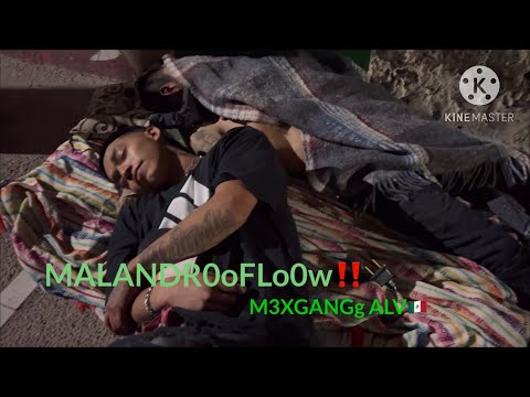 El Pinche Valentin-Me Gusta