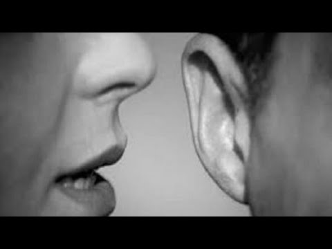 Nëse rrethohemi nga njerëz të cilët meren me thashetheme? - Dr. Imam Ahmed Kalaja