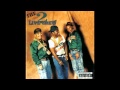 2 LIVE CREW -- IN THE DUST