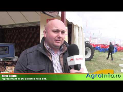 Telemeaua de Ibanesti