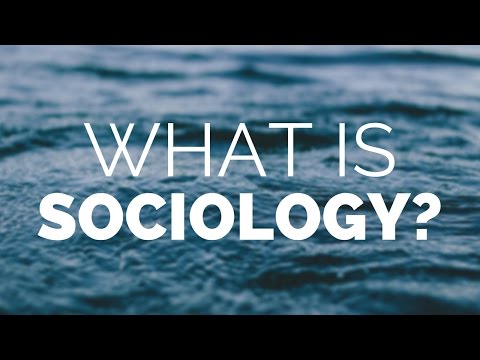 What is Sociology? A Brief Introduction to Sociology.