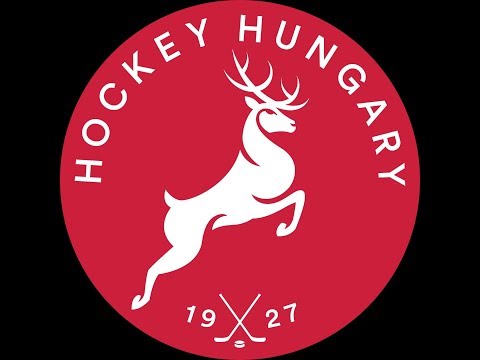 HUN U20 - USA U18 4:6 20190801 összefoglaló