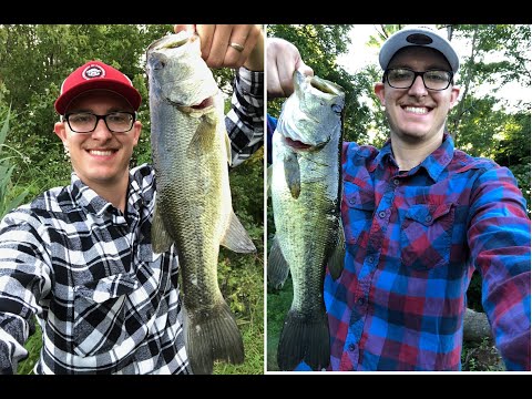 Catching Largemouth Bass in Weeds with Texas Rig