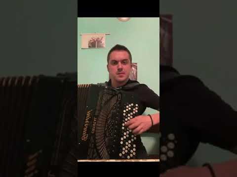 Aca Nikolic Brajic / Bolujem ti dušo