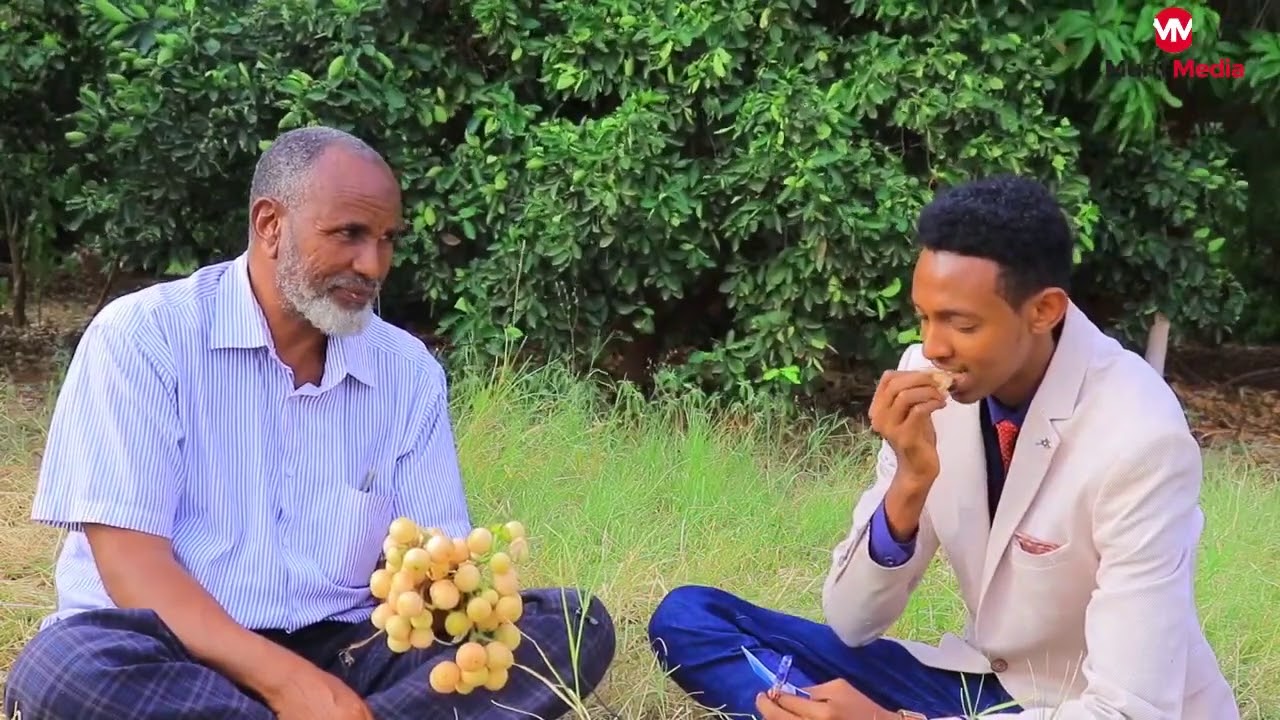 waraysi gaar ah iyo guddoomiyaha shirkadda AQBAL ee wax soosaarka dalagga beeraha. dhagaxbuur.