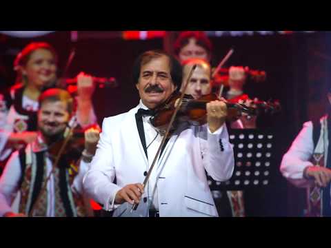 Lupii lui Calancea si Lăutarii lui Botgros - De la primarie-n sus