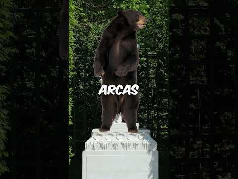 Who is CALLISTO? #greekmythology #shorts