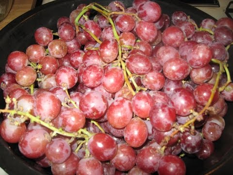 download lagu mp3 mp4 Canning Recipes For Green Grapes, download lagu Canning Recipes For Green Grapes gratis, unduh video klip Canning Recipes For Green Grapes