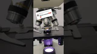 Download lagu microscope zoom miswak very very imaging zoom of microscope in compound microscope mp3 Download lagu microscope zoom miswak very very imaging zoom of microscope in compound microscope mp3