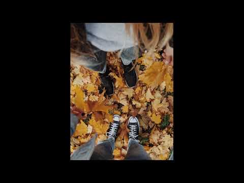 korou x powfu - a friend in you