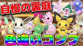 自慢の裏庭限定ポケモン色違いコンプしたったw【ポケモンBDSP】