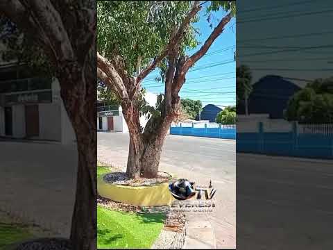 Você conhece a praça da feira em Oliveira dos Brejinhos? Filmagem Web Bahia André Silva) #bahia
