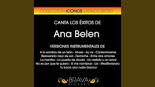 Un Vestido y un Amor (Instrumental Version) (Originally Performed By Ana Belen)