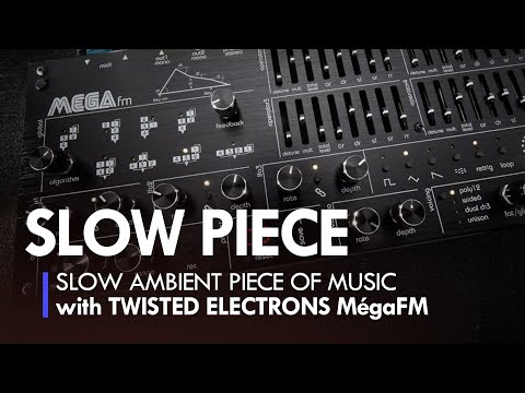 Twisted Electrons MEGAfm - Other Gear - Elektronauts