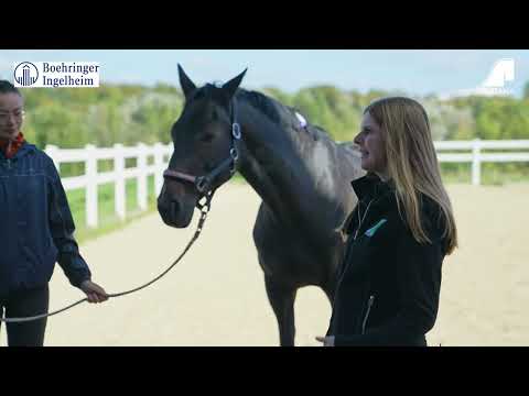 Equitana-Sprechstunde: Erste Hilfe am Pferd