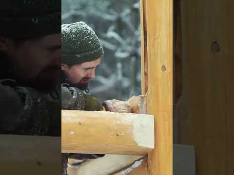 Epic Off Grid Cabin Build