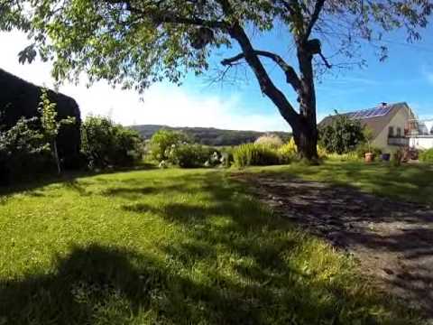 Eine Reise durch unserem Garten mit "Shaun der Rasenmäher"