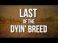 Lynyrd Skynyrd Last Of A Dyin Breed OFFICIAL LYRIC VIDEO