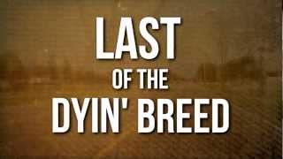 Lynyrd Skynyrd // Last of a Dyin&#39; Breed (OFFICIAL LYRIC VIDEO)