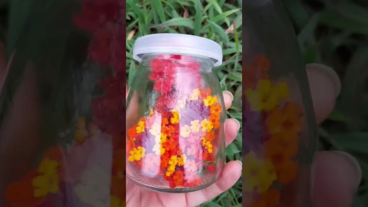 Envase de Vidrio 150gr tapa transparente