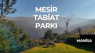 Mesir Tabiat Parkı / Manisa / Türkiye