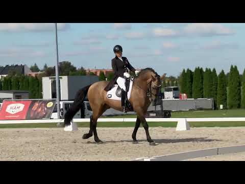 GUAPO   Katarzyna Milczarek   CDI i MPMK   Radzionków – 28 09 2025