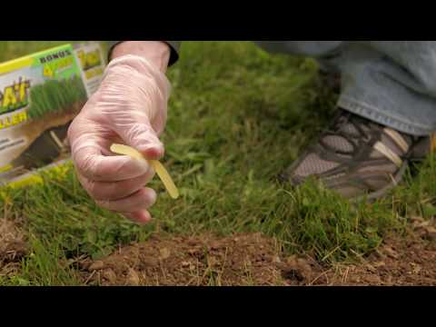image-Do poison mole Worms work?