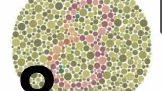 Test de ISHIHARA completo gratis o test del color
