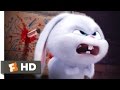 Download lagu The Secret Life of Pets You Know Tiny Dog Scene Movieclips