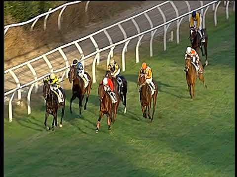 Galoppo 24/11/2018 - 1ª corsa