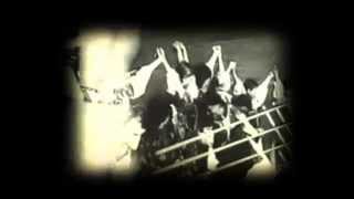 LUNATIC GODS - Kupalo (Slnovrat letný) OFFICIAL VIDEO HD