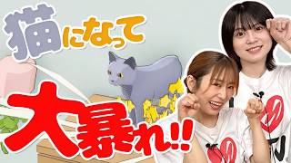 【Cat Chaos】猫になって部屋を荒らしまくる!?【ゆきめぐTV】