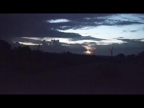 Djuma: Sights and sounds with lightning in the distance - 04:47 - 02/07/2020