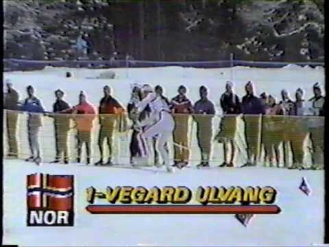 1987 FIS World Nordic Ski Championships