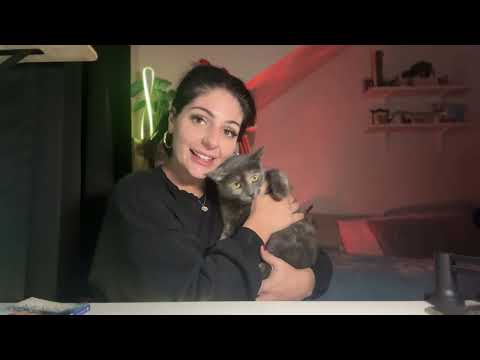 LEO- A MASSIVE Money Shift is COMING!!💰BUT You Must KNOW THIS FIRST! October 22nd Daily Tarot 2025