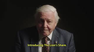The Lion’s Share -cannes grand prix winner