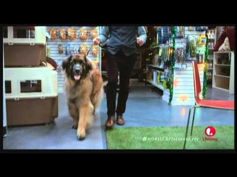 Hi! I'm JoJo! Grumpy Cat's Worst Christmas Ever