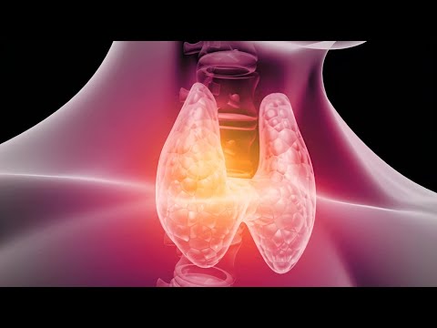 Extreme Thyroid Support: Cleansing Frequencies for Energy Balance & Lymphatic Flow