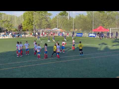 Live ISCAR Cup VSG vs Fursan Hispania - Full Match