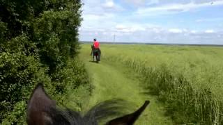 preview picture of video 'Cambridgeshire hack on a June morning'