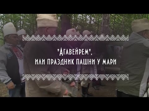 "Агавейрем", или праздник пашни у мари